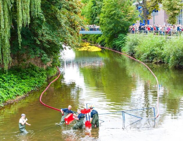 Renn-Enten im Ziel