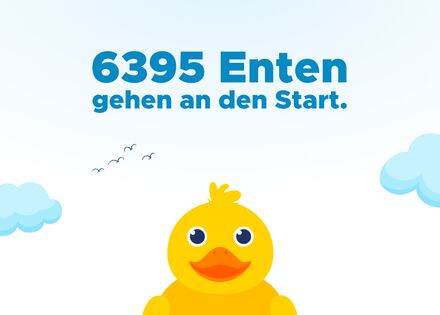 Zieleinlauf beim Chemnitzer Entenrennen
