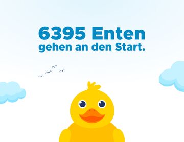
  Zieleinlauf beim Chemnitzer Entenrennen